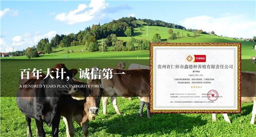 貴州有機農業的發展路徑 以仁懷市鑫德種養殖有限責任公司為例