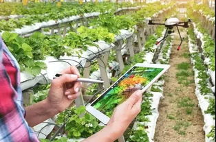 從沙漠到餐桌 牧原股份三大模式創新引領現代農業革命，創始人財富達400億