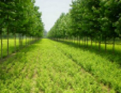 農業食品與農業種植技術開發 驅動可持續未來的雙引擎