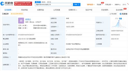 網(wǎng)絡(luò)文化經(jīng)營(yíng) 定義、挑戰(zhàn)與未來展望
